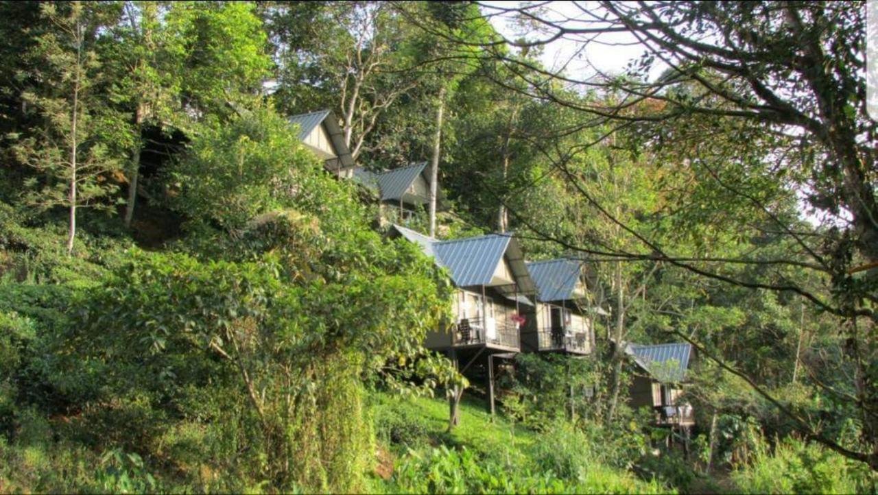 Moselberg Riverside Cottages 무나르 외부 사진