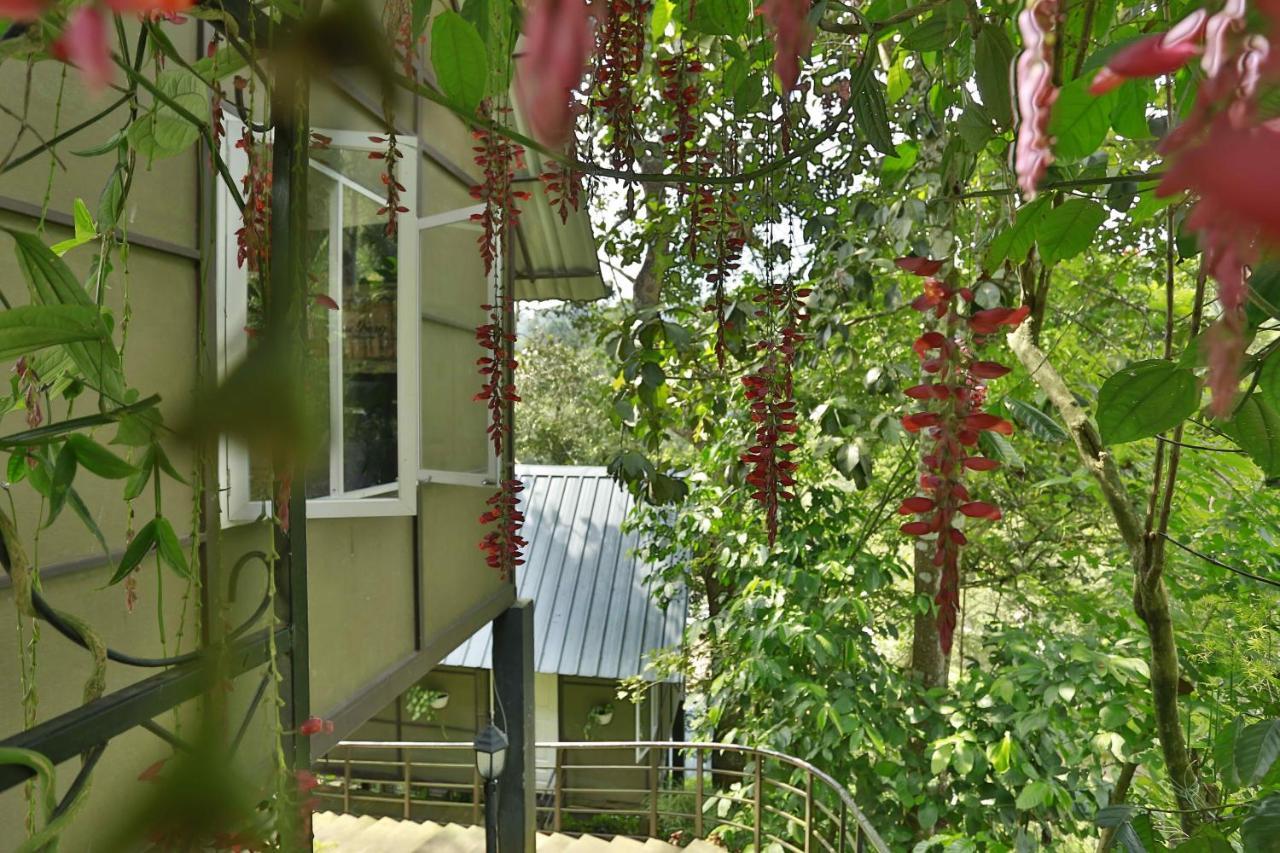 Moselberg Riverside Cottages 무나르 외부 사진